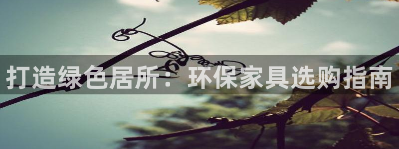 杏耀官网娱乐