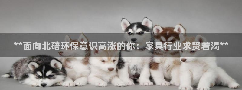 杏耀平台手机