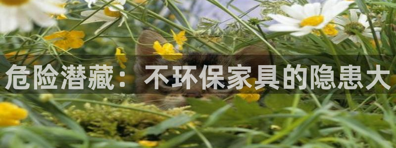 杏耀代理连接