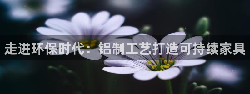 杏耀登陆