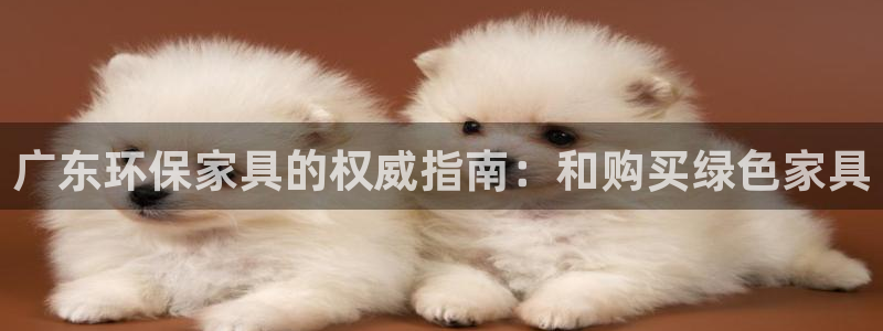 杏耀平台的专用通道：广东环保家具的权威指南：和购买绿色家具