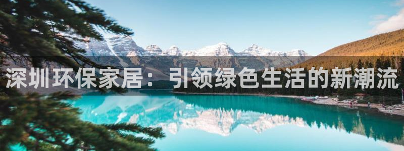 杏耀官方：深圳环保家居：引领绿色生活的新潮流