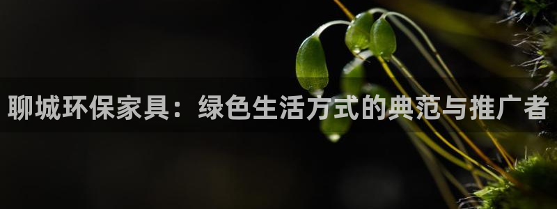 杏耀平台没有了：聊城环保家具：绿色生活方式的典范与推广者