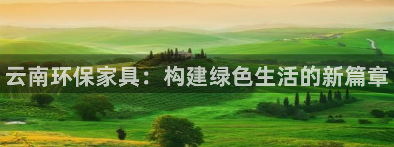 杏耀代理1980