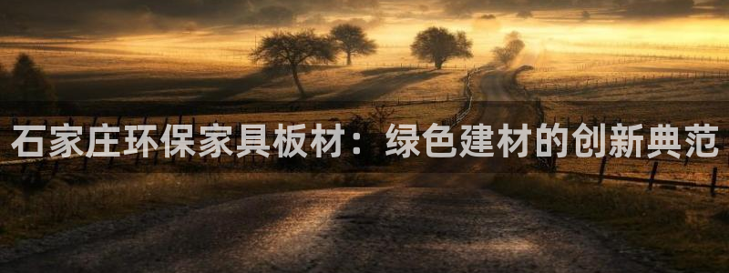 杏耀官网娱乐：石家庄环保家具板材：绿色建材的创新典范