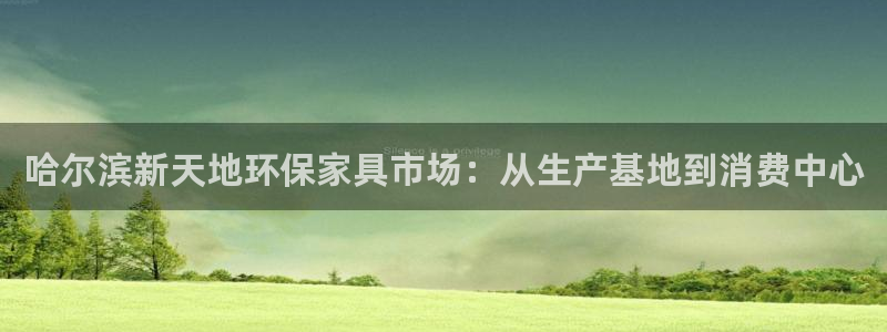 杏耀手机网页登录入口：哈尔滨新天地环保家具市场：从生产基地到