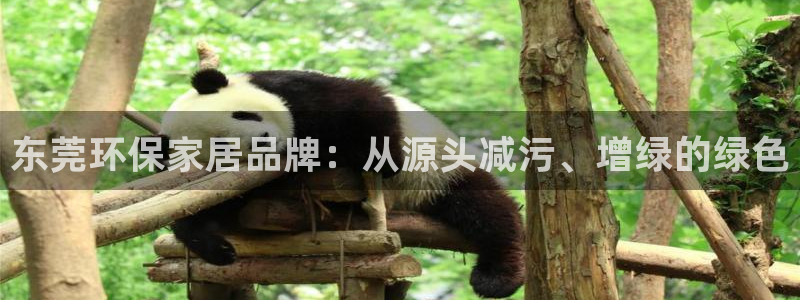 杏耀平台服务中心