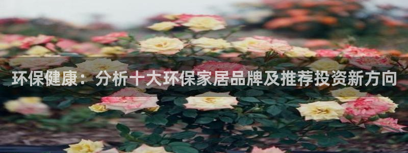 杏耀手机客户端：环保健康：分析十大环保家居品牌及推荐投资新方