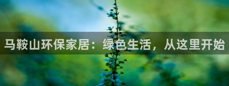 杏耀平台注册网址：马鞍山环保家居：绿色生活，从这里开始