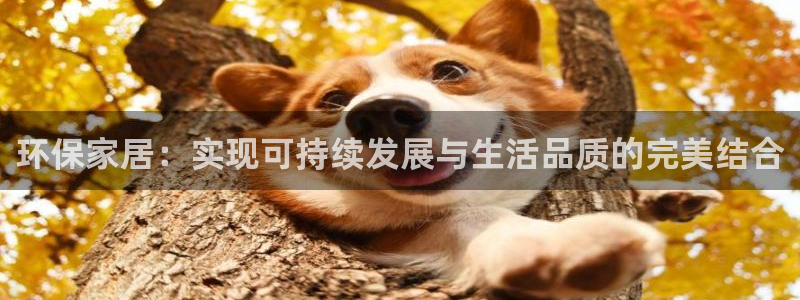 杏耀登录网页：环保家居：实现可持续发展与生活品质的完美结合
