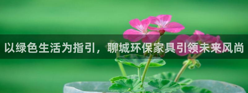 杏耀平台代理注册：以绿色生活为指引，聊城环保家具引领未来风尚