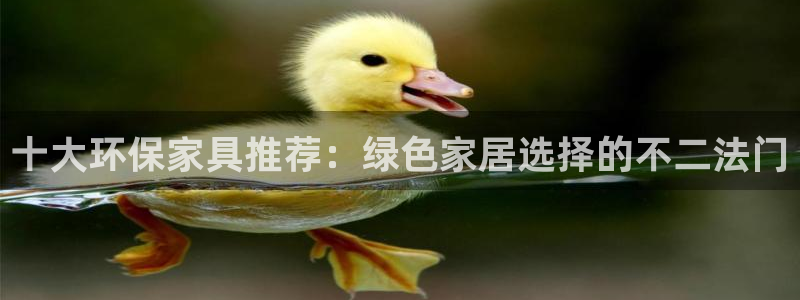 杏耀平台线路测速登录：十大环保家具推荐：绿色家居选择的不二法