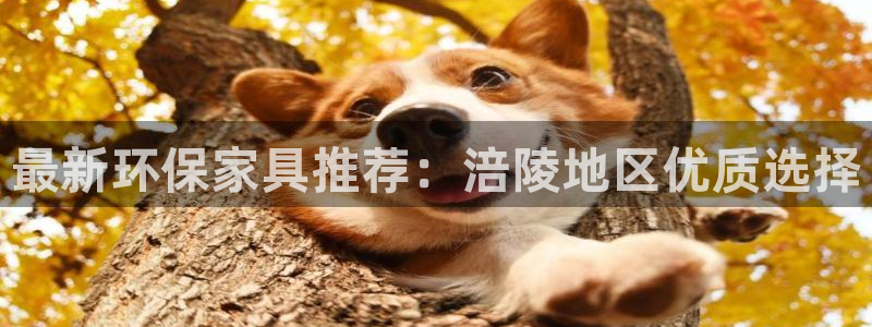 杏耀注册代理：最新环保家具推荐：涪陵地区优质选择