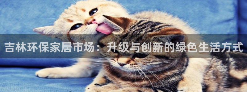 杏耀注册平台官网：吉林环保家居市场：升级与创新的绿色生活方式