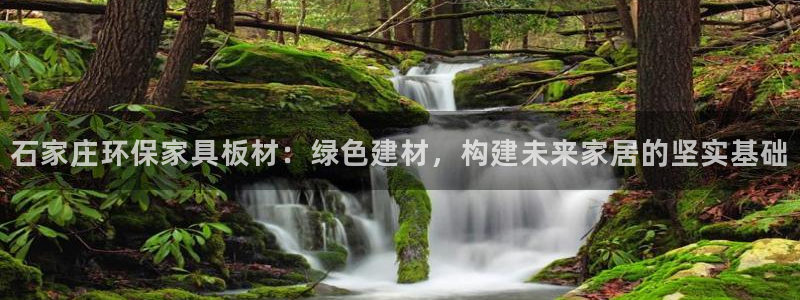杏耀官方注册中心：石家庄环保家具板材：绿色建材，构建未来家居
