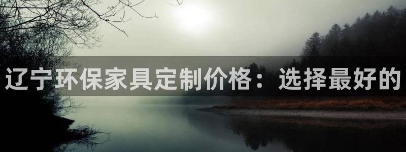 杏耀平台代理登录网址是什么：辽宁环保家具定制价格：选择最好的