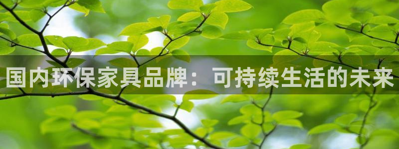 杏耀平台服务中心电话号码：国内环保家具品牌：可持续生活的未来