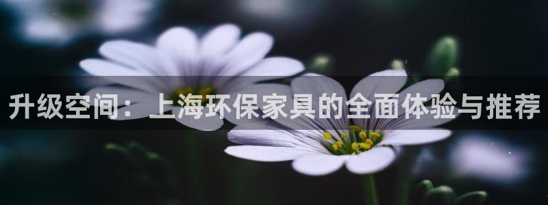 杏耀平台线路测试：升级空间：上海环保家具的全面体验与推荐