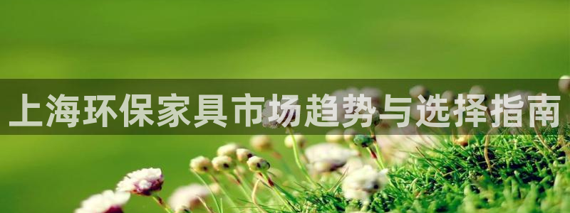 杏耀平台登录网站：上海环保家具市场趋势与选择指南