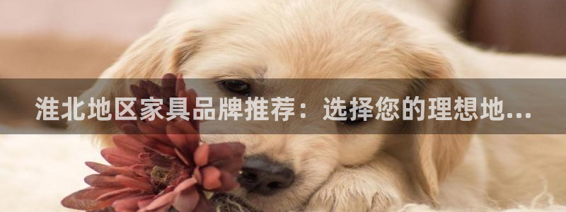 杏耀登陆网站：淮北地区家具品牌推荐：选择您的理想地...