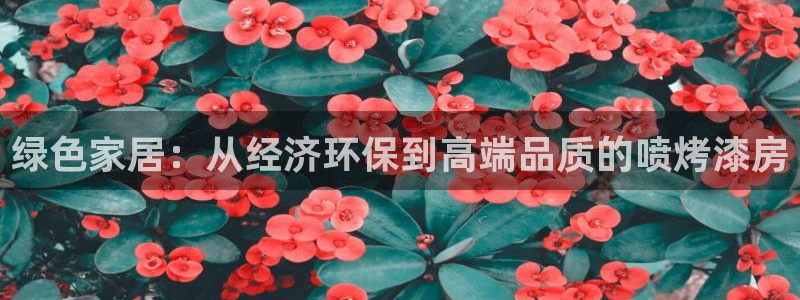 杏耀平台怎么样?：绿色家居：从经济环保到高端品质的喷烤漆房