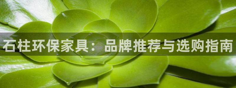 杏耀注册开户：石柱环保家具：品牌推荐与选购指南