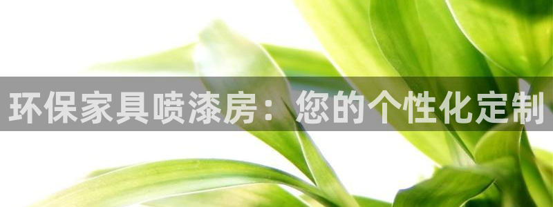 杏耀平台登陆官网：环保家具喷漆房：您的个性化定制