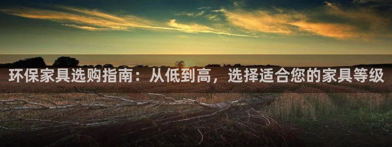 杏耀平台客户端：环保家具选购指南：从低到高，选择适合您的家具