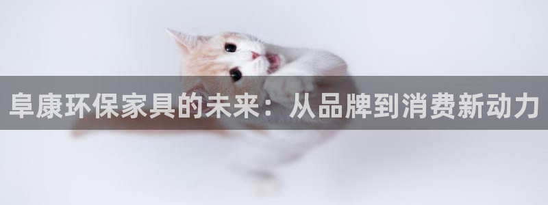 杏耀总代理：阜康环保家具的未来：从品牌到消费新动力