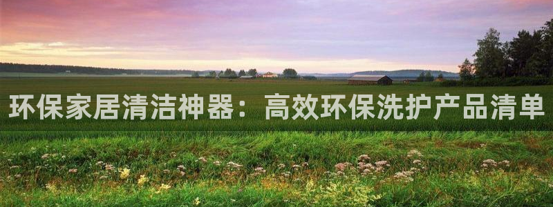杏耀登陆：环保家居清洁神器：高效环保洗护产品清单
