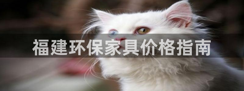 杏耀代理主管qq