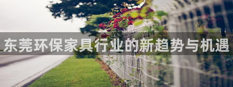 杏耀网址官网：东莞环保家具行业的新趋势与机遇
